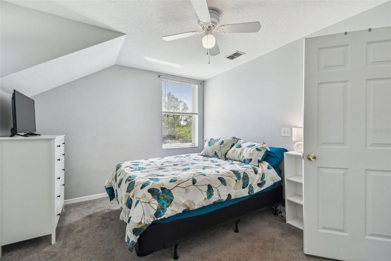 24231 Satinwood Court, Lutz, FL 33559 Photo