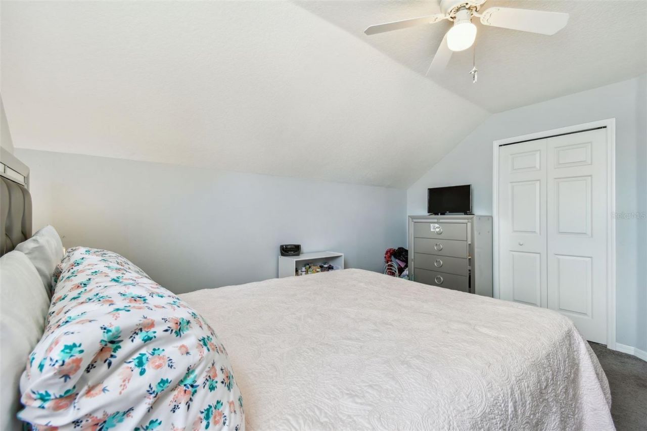 24231 Satinwood Court, Lutz, FL 33559 Photo