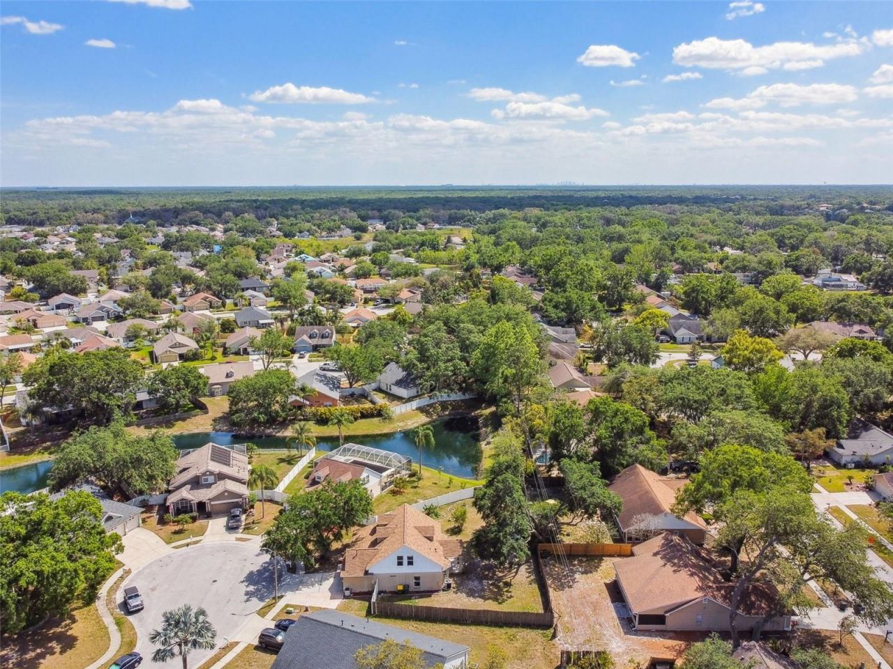 24231 Satinwood Court, Lutz, FL 33559 Photo