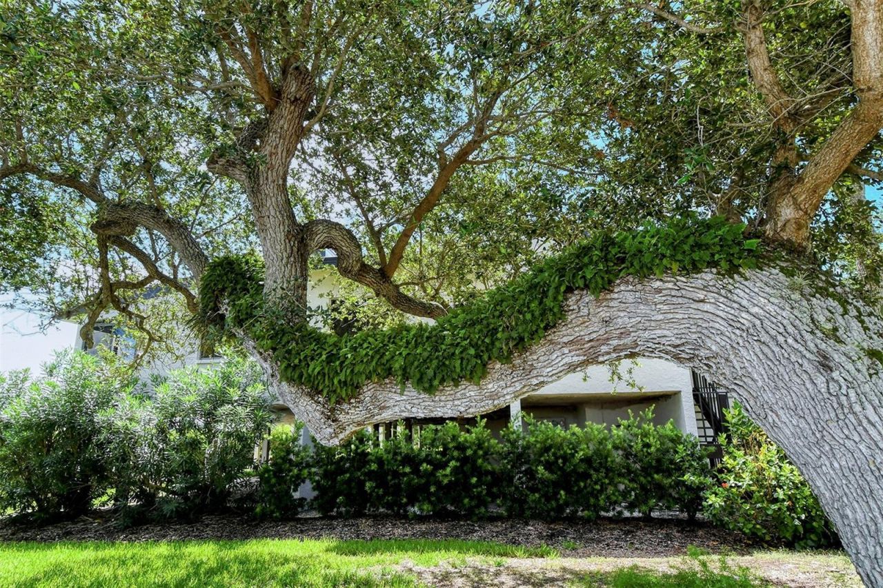 6267 Midnight Pass Road, Unit 306, Sarasota, FL 34242 Photo