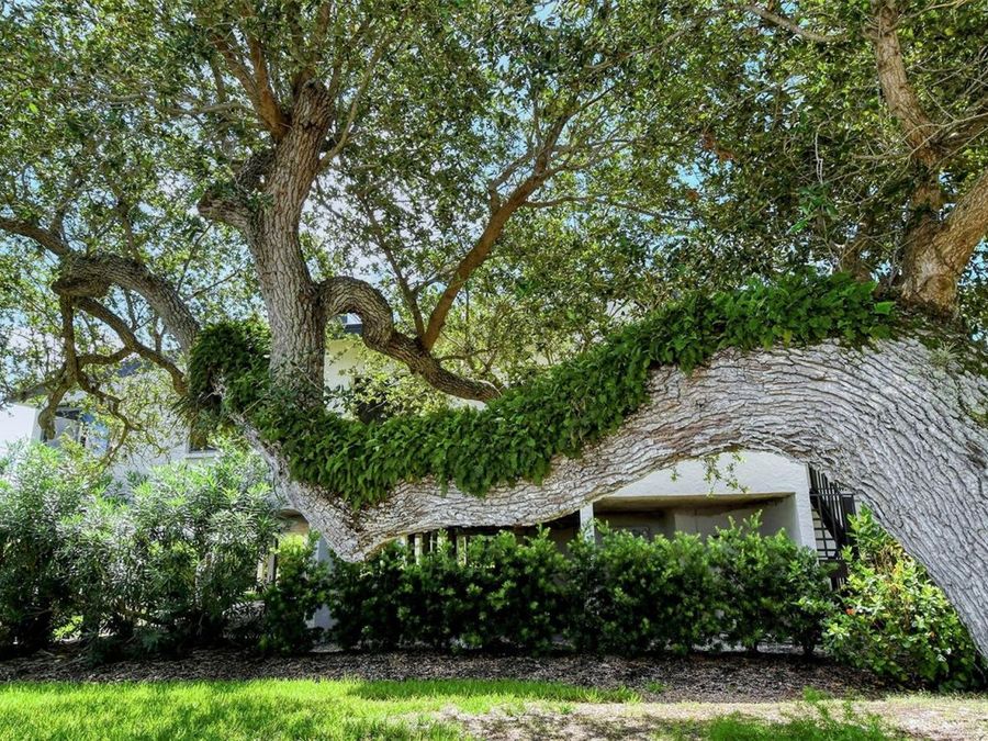 Property Image 55