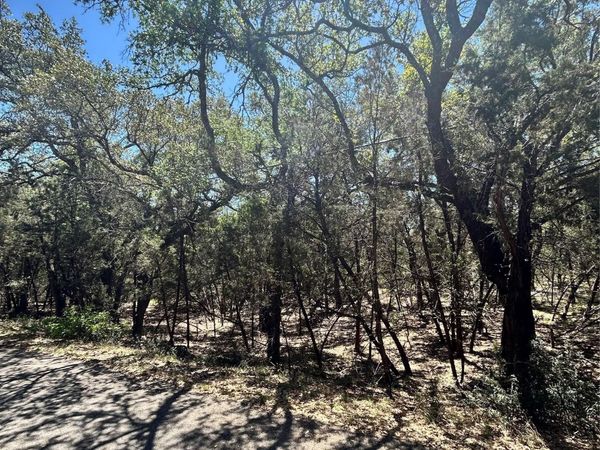 21505 Cardinal Ave, Leander, TX 78645