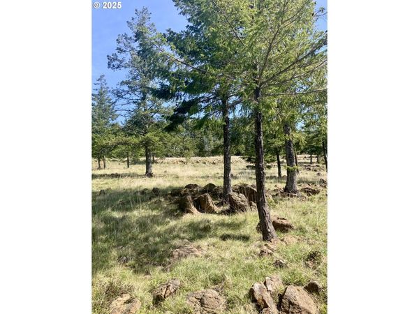 95645 SPIRIT RIDGE RD, Gold Beach, OR 97444