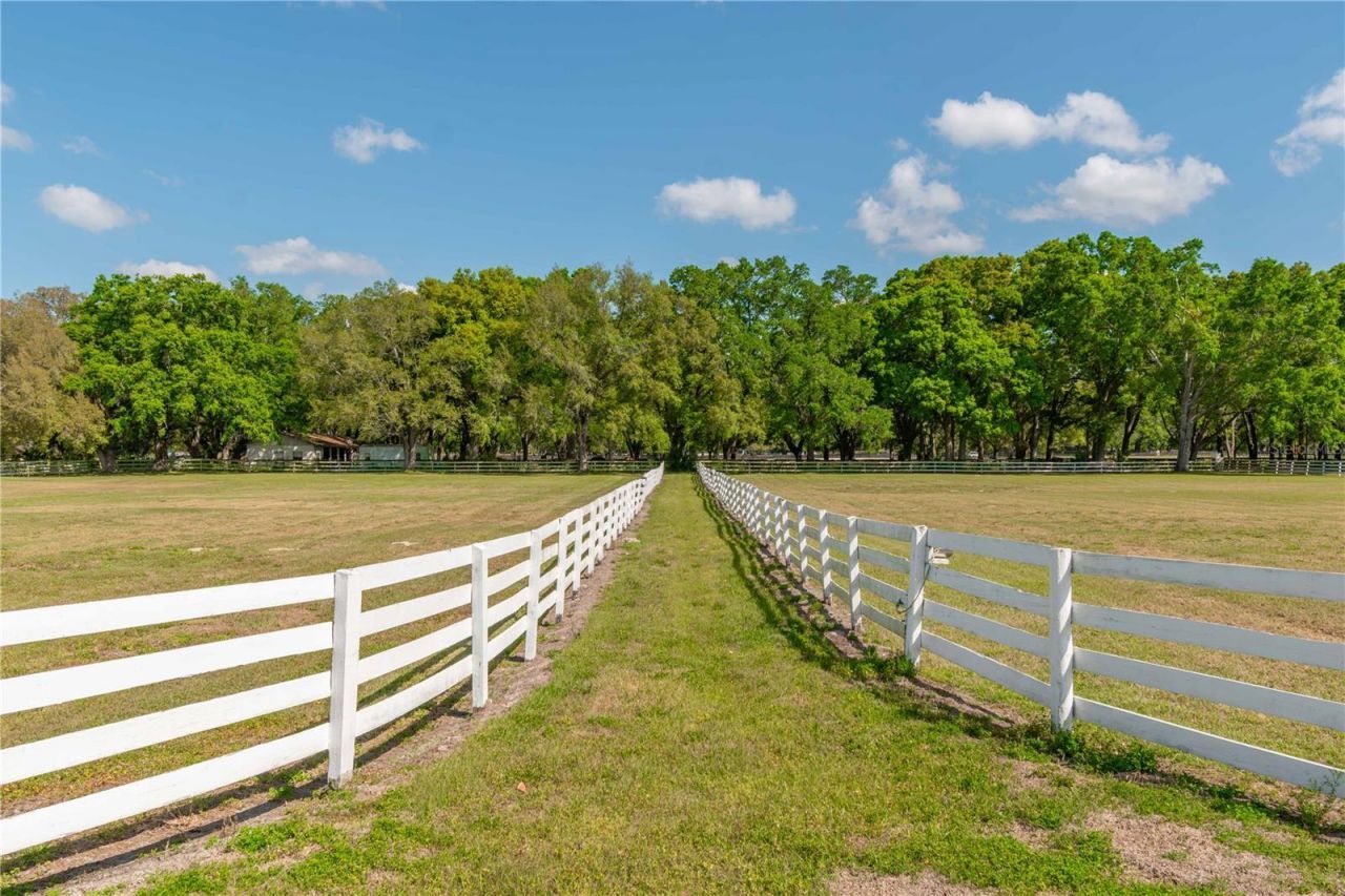 4450 SE 216th Avenue, Morriston, FL 32668 Photo