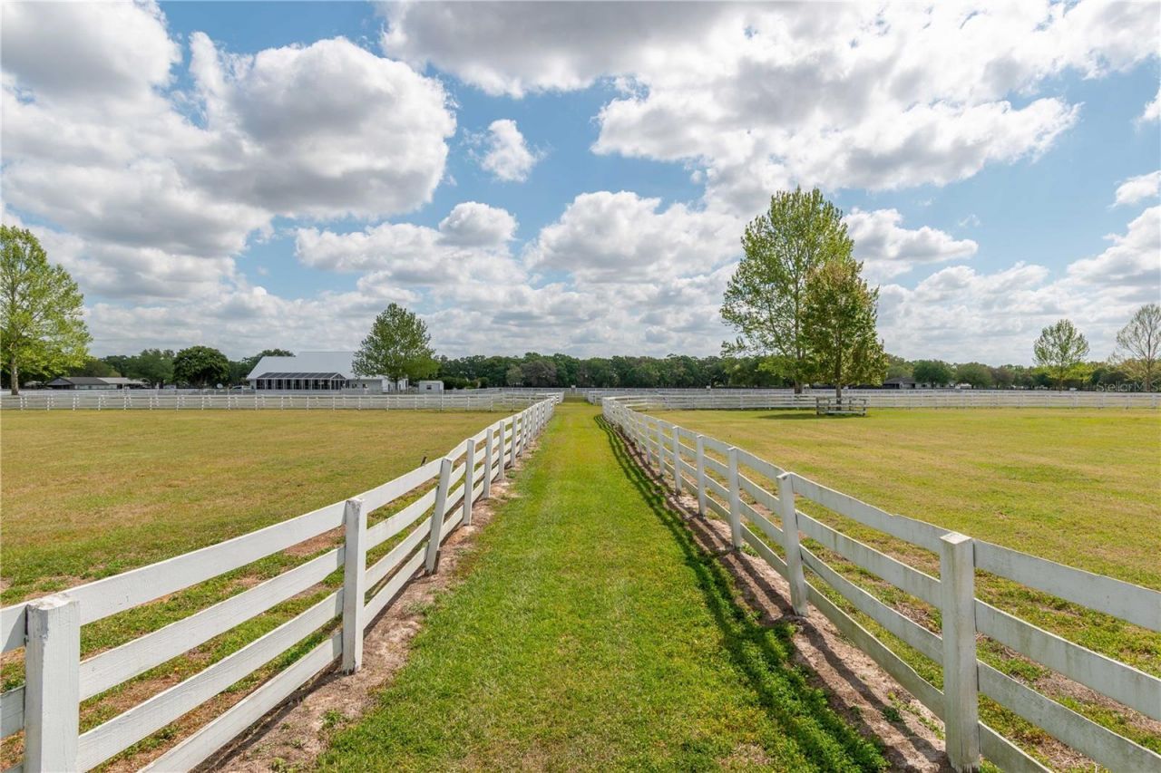 4450 SE 216th Avenue, Morriston, FL 32668 Photo