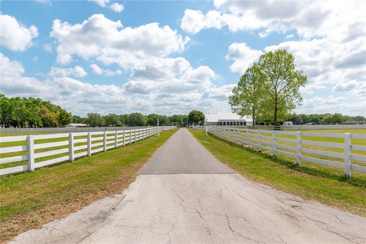 4450 SE 216th Avenue, Morriston, FL 32668 Photo