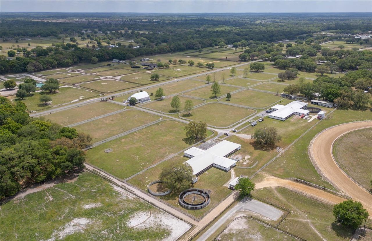 4450 SE 216th Avenue, Morriston, FL 32668 Photo