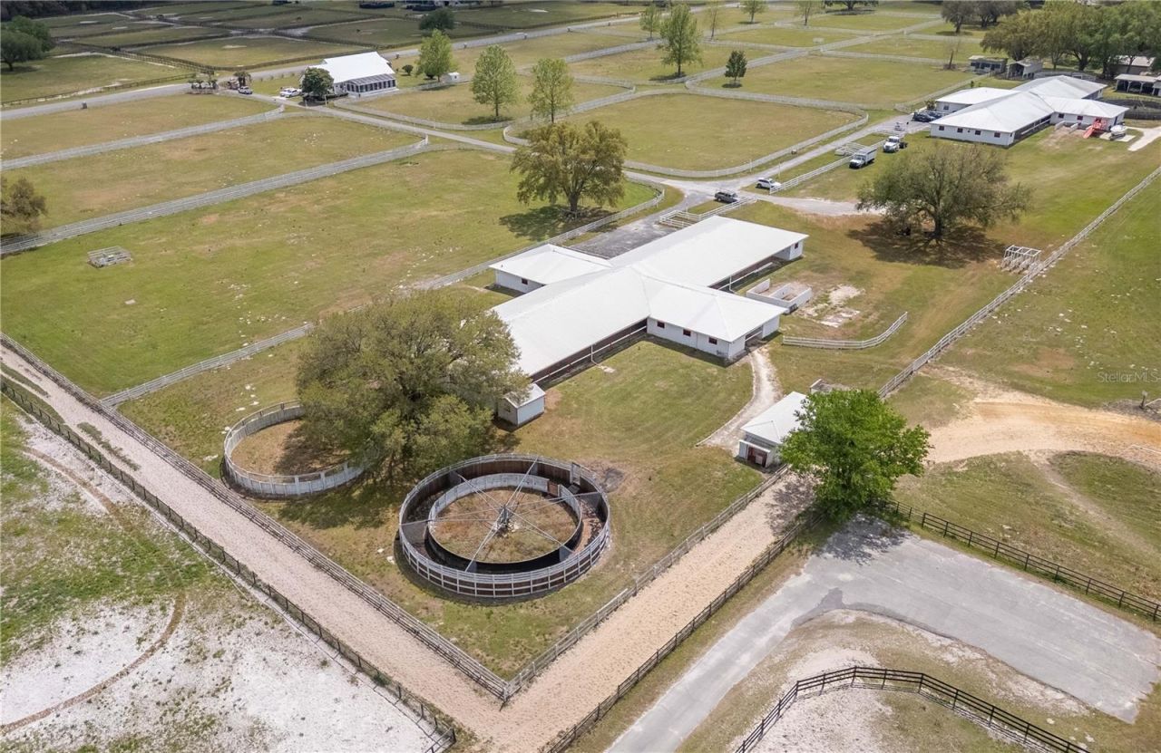 4450 SE 216th Avenue, Morriston, FL 32668 Photo