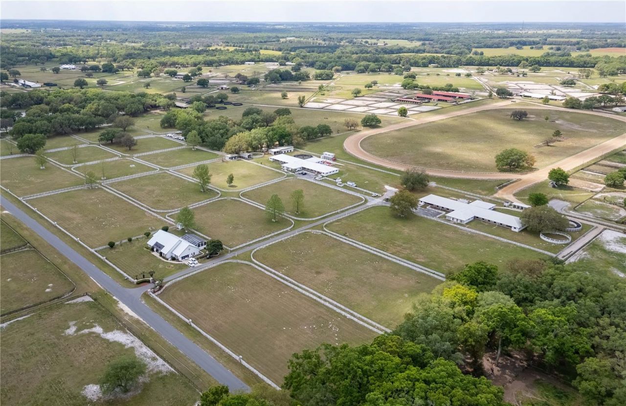 4450 SE 216th Avenue, Morriston, FL 32668 Photo