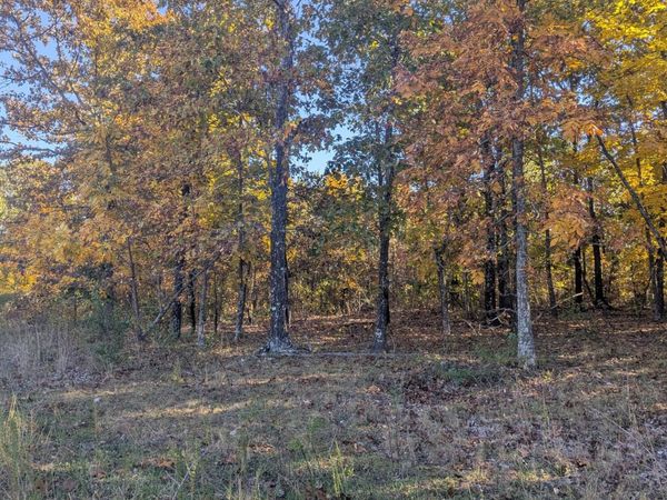 000 County Road 9160, Koshkonong, MO 65692