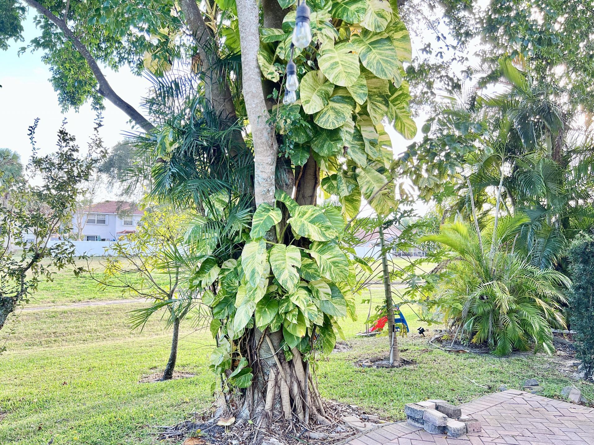 7608 Pinewalk Drive, Unit 127, Margate, FL 33063 Photo