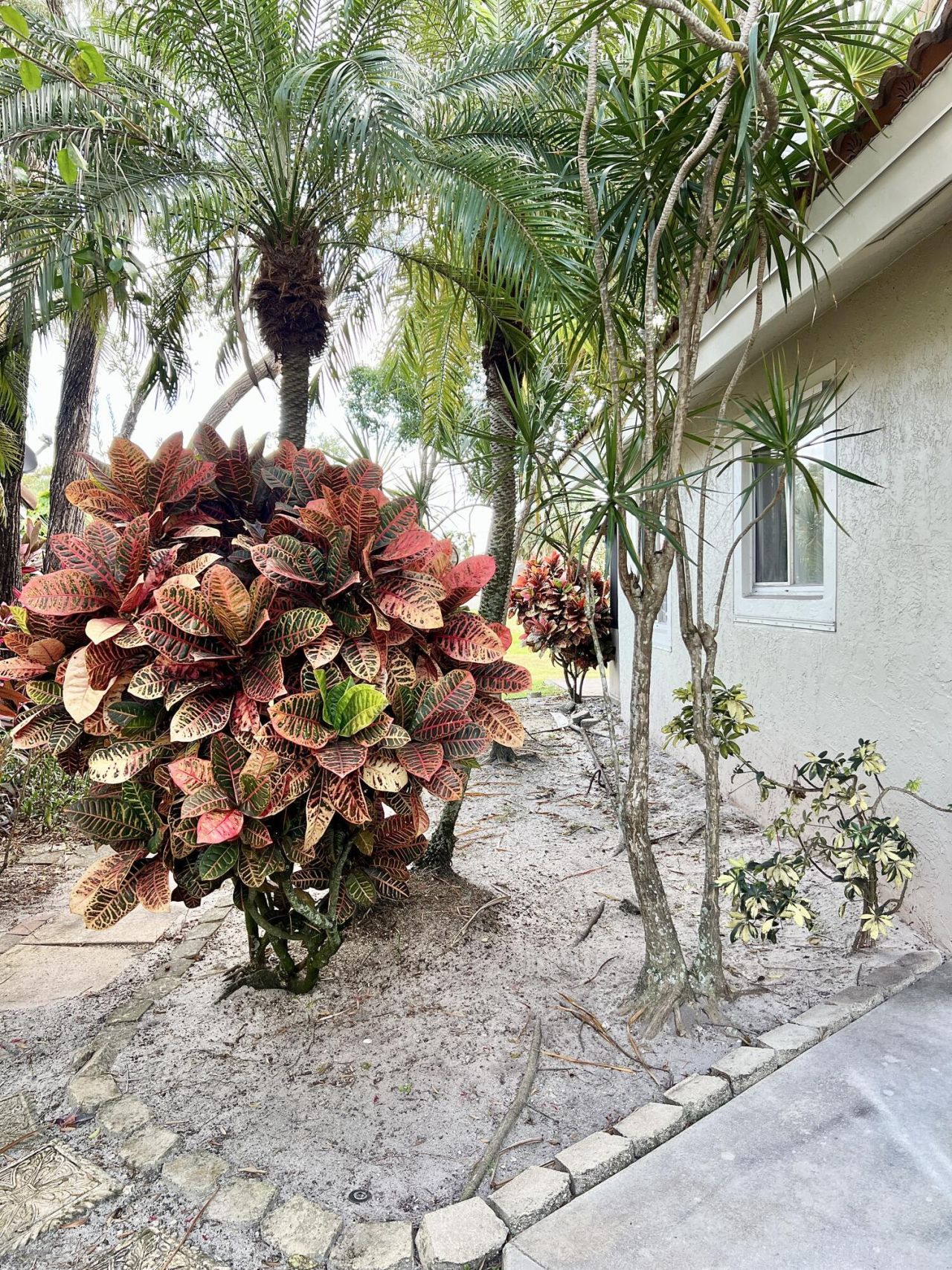 7608 Pinewalk Drive, Unit 127, Margate, FL 33063 Photo