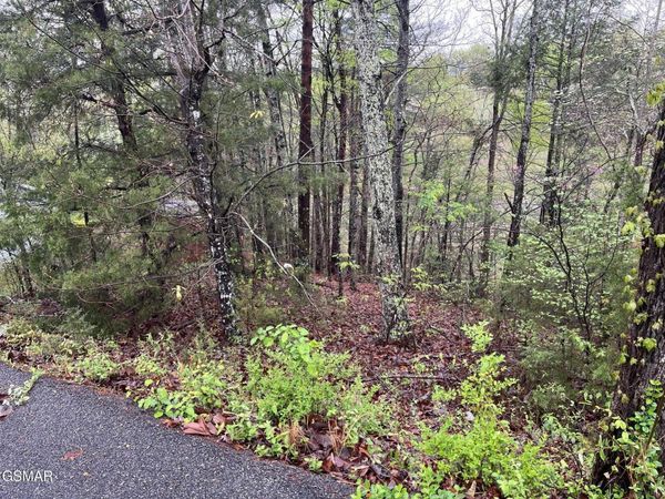 Lot 1 Mountain View Lane, Pigeon Forge, TN 37863