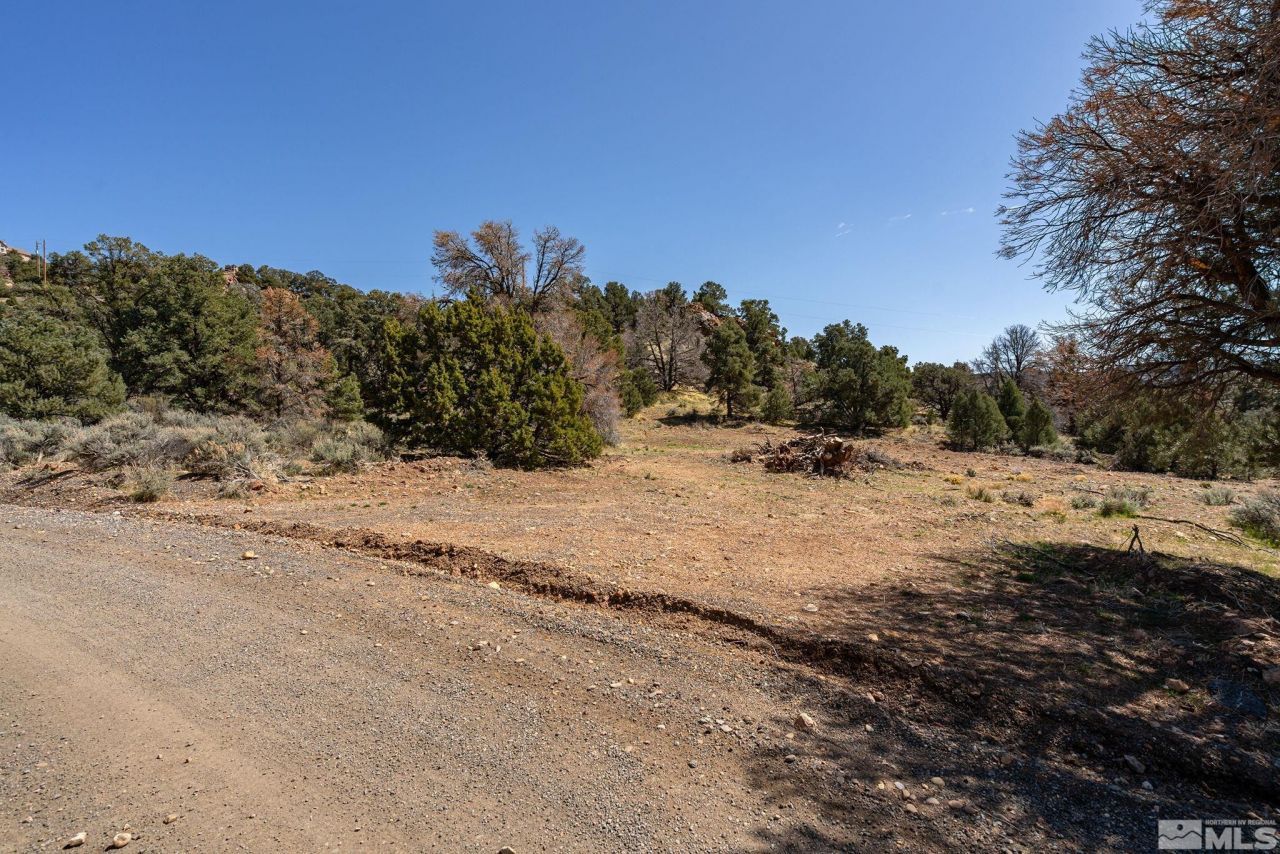 0 Temple Hill Road, Reno, NV 89521 Photo