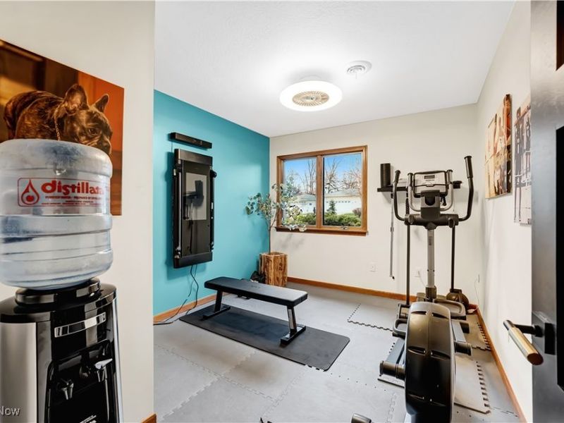 537 Lee Lore Drive, Chippewa Lake, OH 44215 Photo 32