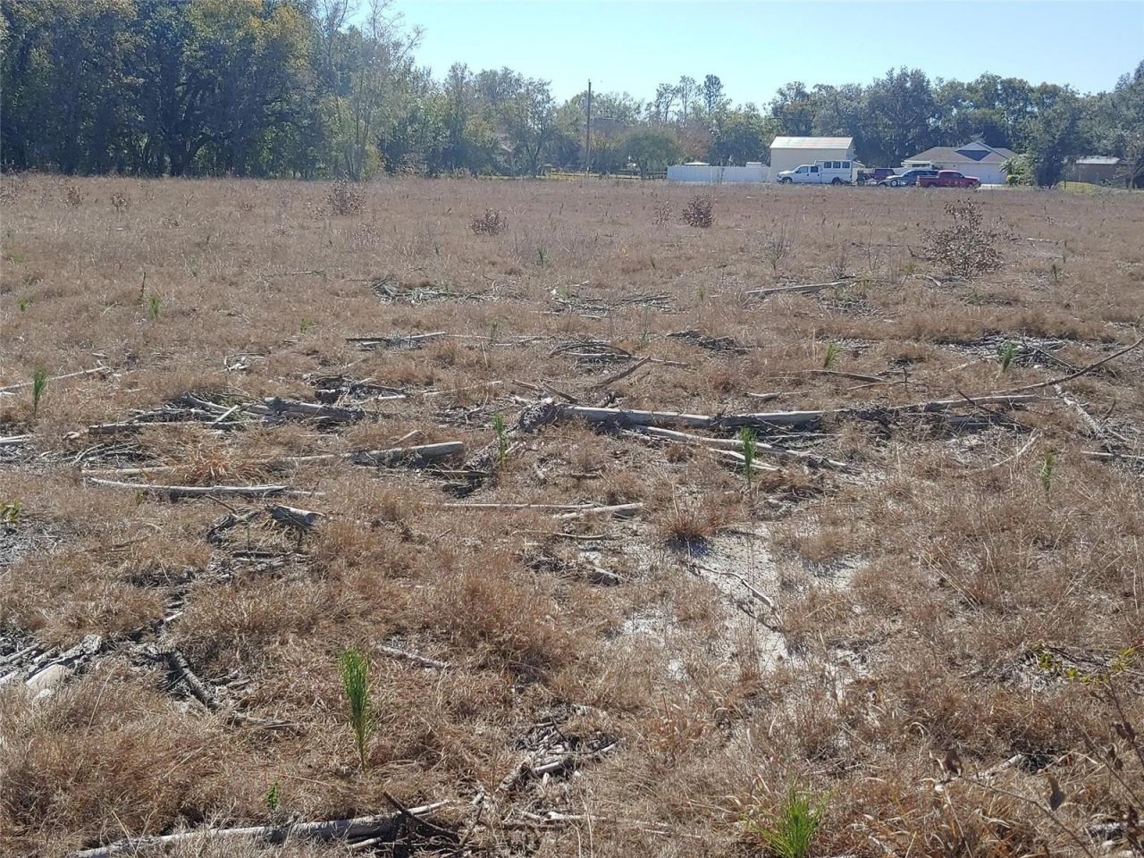 Trapnell Road, Plant City, FL 33566 Photo