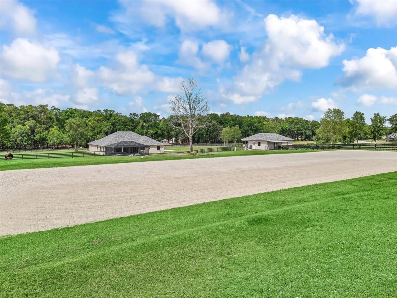 7161 NE 22nd Court Road, Ocala, FL 34479 Photo