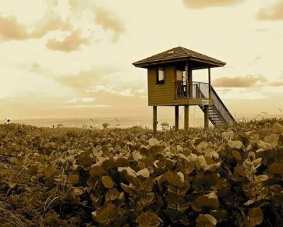 500 Egret Circle, Unit 8307, Delray Beach, FL 33444 Photo