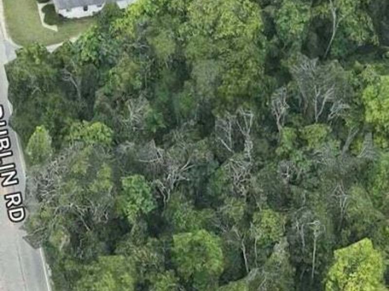 0 Dublin Road, Powell, OH 43065 Photo 3