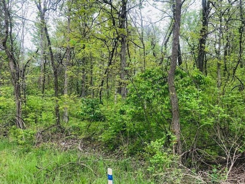 0 Dublin Road, Powell, OH 43065 Photo 4