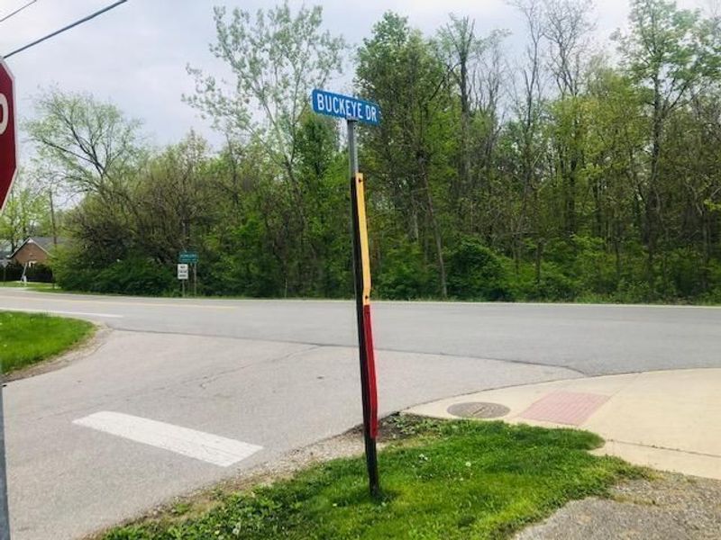 0 Dublin Road, Powell, OH 43065 Photo 5