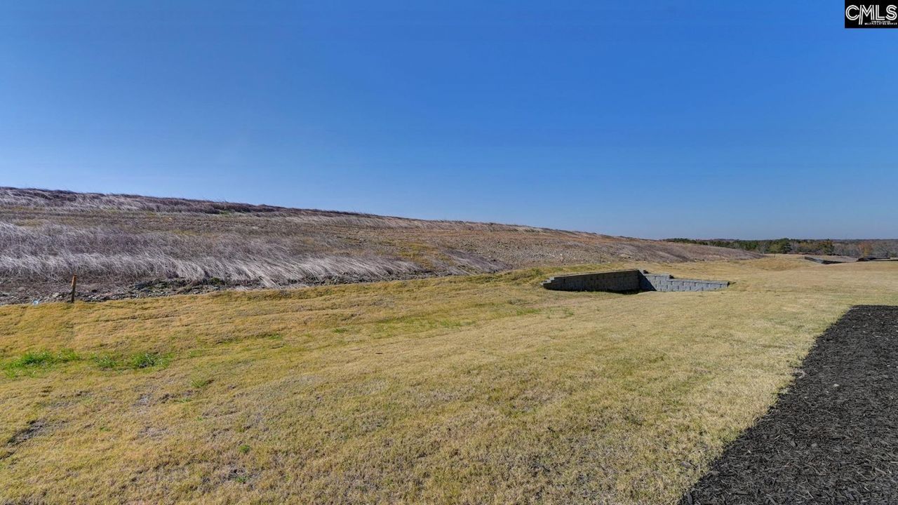 213 Livingston Woods Drive Photo 44