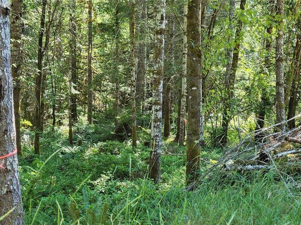 Lot 3 Cowichan Lake Rd, Duncan, BC V9L 6H3