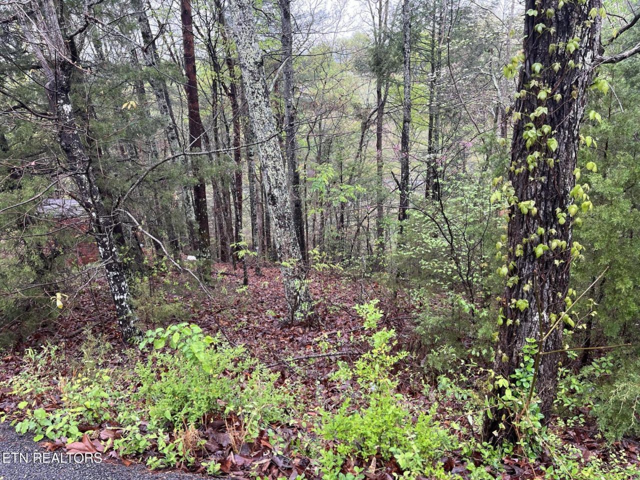 Lot 1 Mountain View Drive, Pigeon Forge, TN 37863 Main Photo