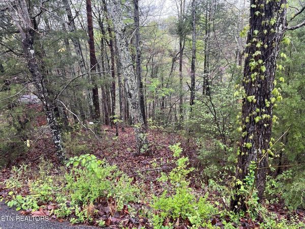 Lot 1 Mountain View Drive, Pigeon Forge, TN 37863