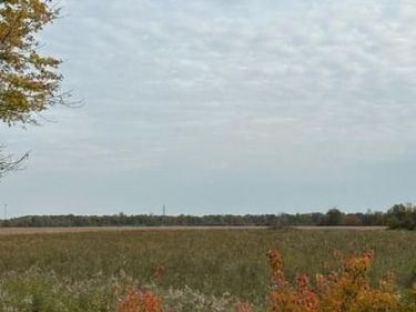 3896 CROOKED CREEK Drive, Vassar Twp, MI 48768