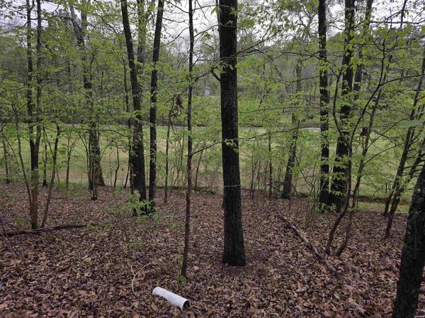 Lot 1663 PEBBLE BEACH Drive, Hot Springs, AR