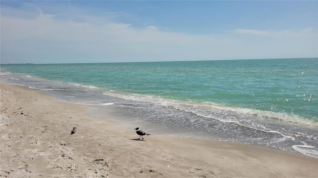 2339 Harbour Oaks Drive, Longboat Key, FL 34228 Photo