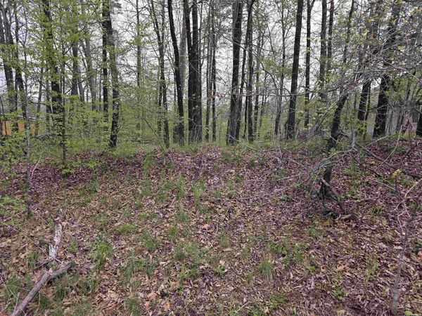 Lot 2238 PLUM HOLLOW, Hot Springs, AR