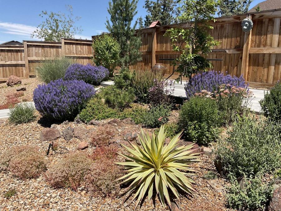 Property Image 59