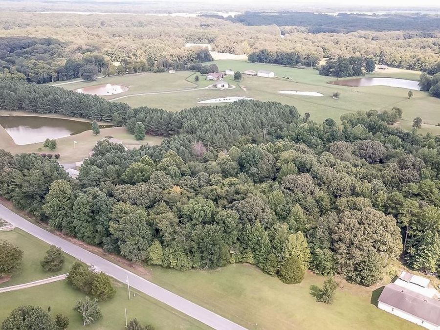 Property Image 4
