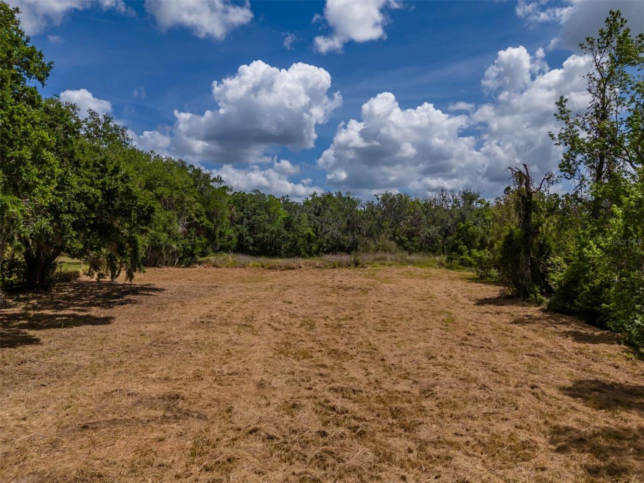 5106 Bell Shoals Road, Valrico, FL 33596 Photo