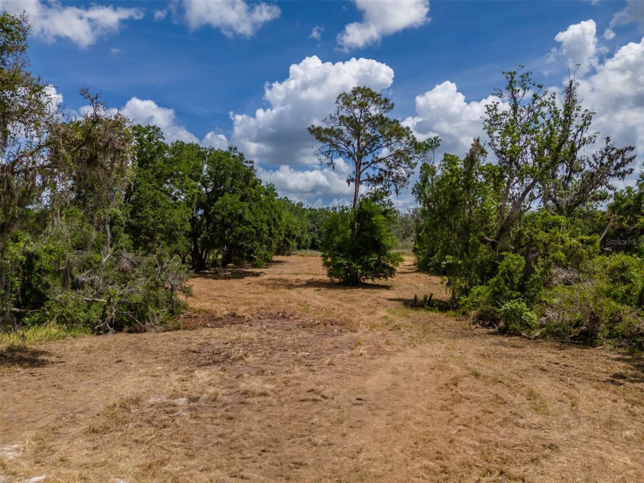 5106 Bell Shoals Road, Valrico, FL 33596 Photo