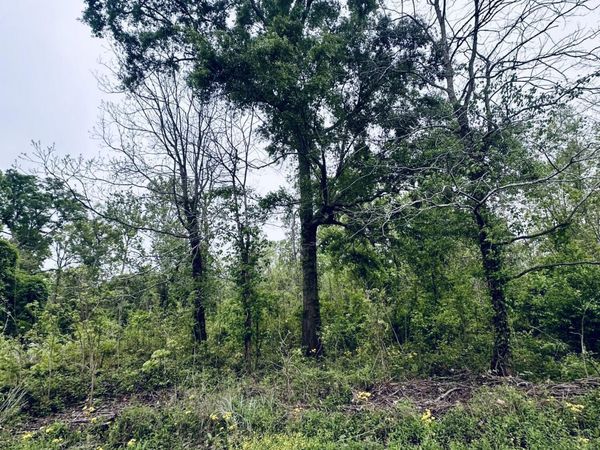 Pecan Grove Road, Woodville, MS 39669