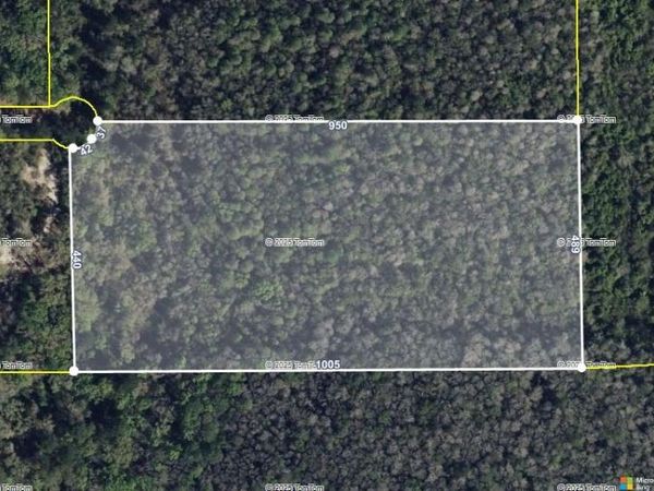 Lot 29, Block A E Meadow Road, Monticello, FL 32344
