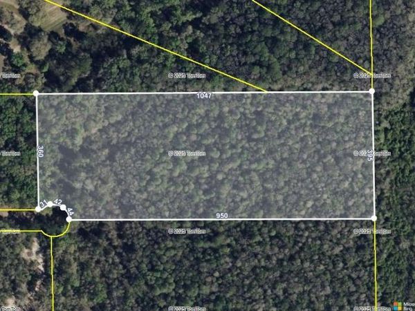 Lot 30, Block A E Meadow Road, Monticello, FL 32344