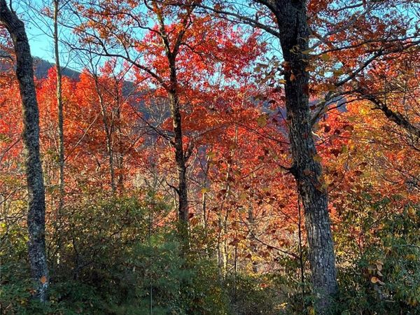 69 & 81 Winter Moon Ridge, Sylva, NC 28779