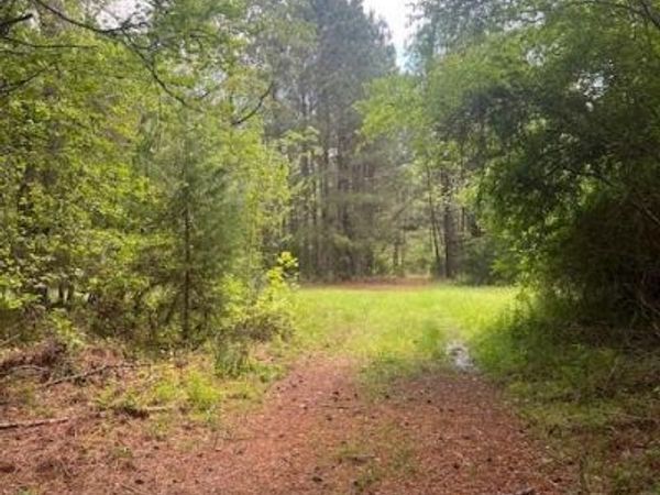 tbd Pleasant Hill Church Road, Wadesboro, NC 28170