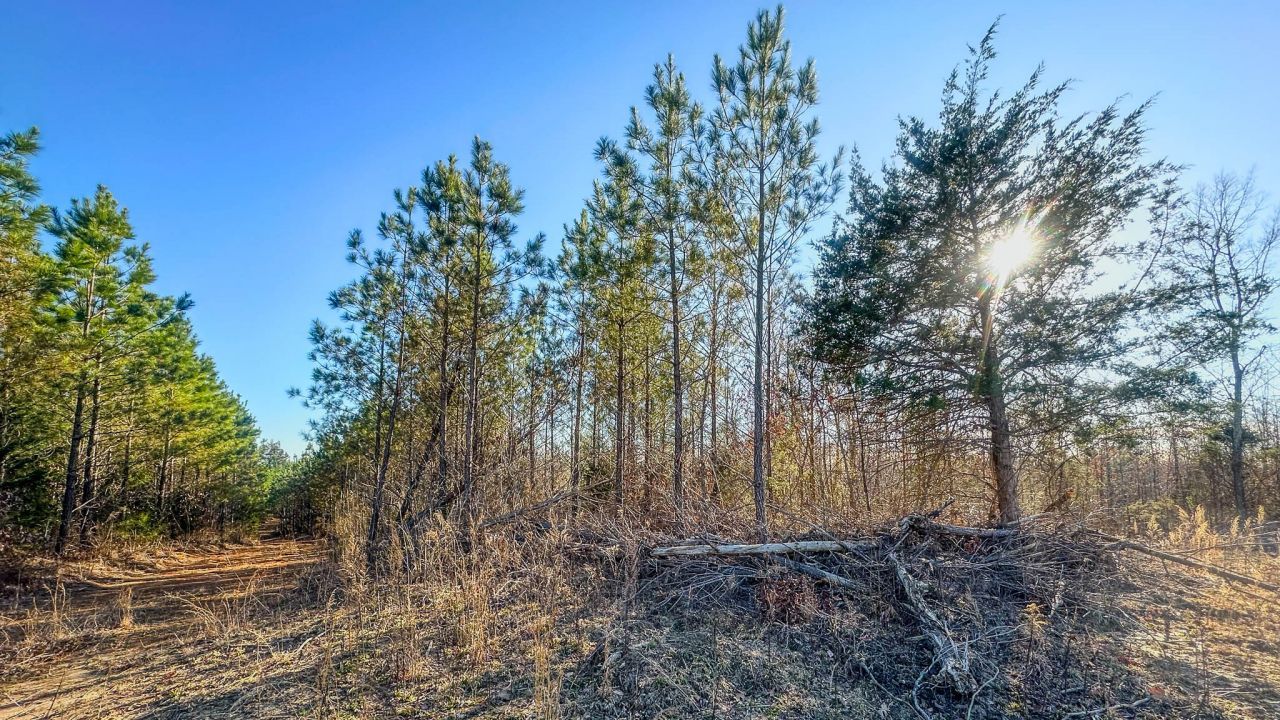 0 Jeanette Holladay Rd, Parsons, TN 38363 Main Photo