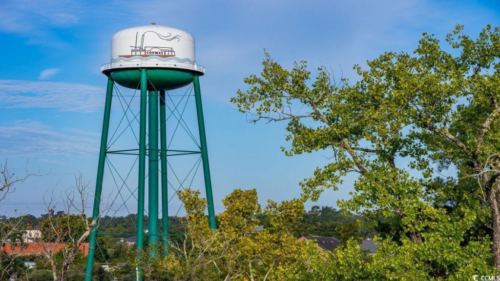 1142 Black Lake Way Photo 17