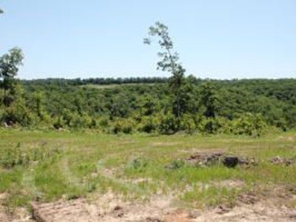 39250-9260 Hwy 27, Witts Springs, AR 72686