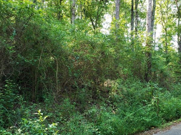 0 Treeline Drive, Dunlap, TN 37327