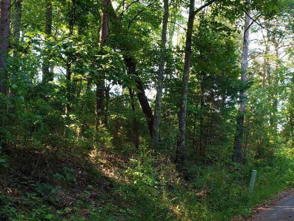 0 Treeline Drive, Dunlap, TN 37327