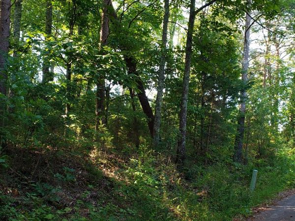 0 Treeline Drive, Dunlap, TN 37327