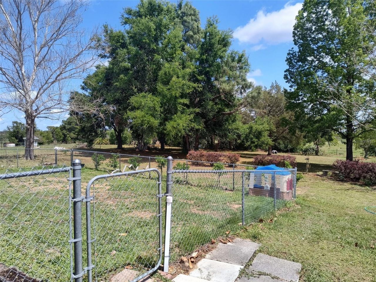 8921 S Thoroughbred Point, Inverness, FL 34452 Photo