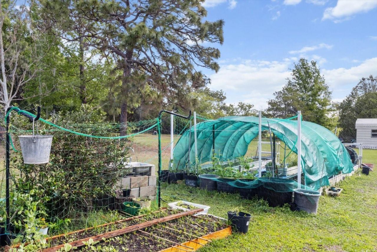 8921 S Thoroughbred Point, Inverness, FL 34452 Photo